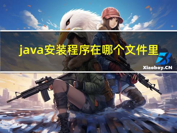 java安装程序在哪个文件里的相关图片