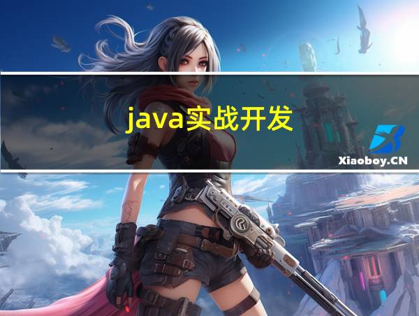 java实战开发的相关图片