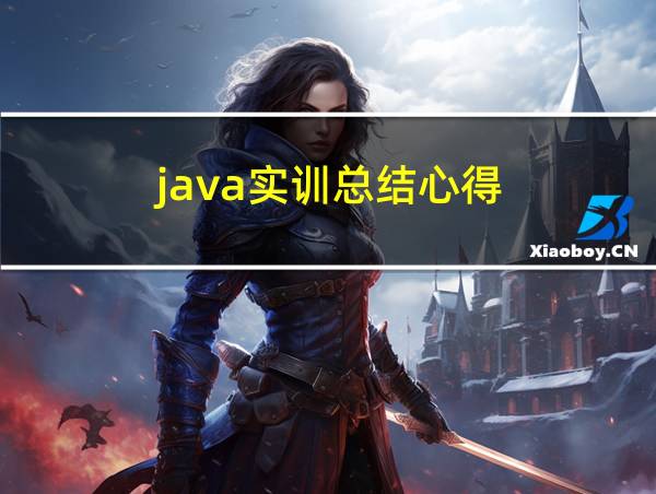 java实训总结心得的相关图片