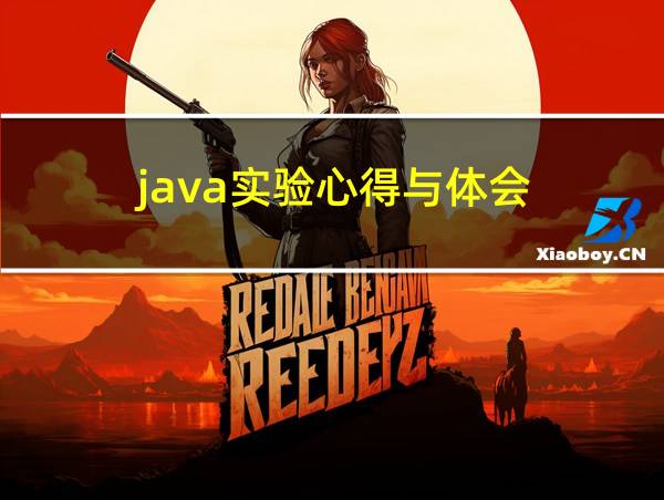 java实验心得与体会的相关图片