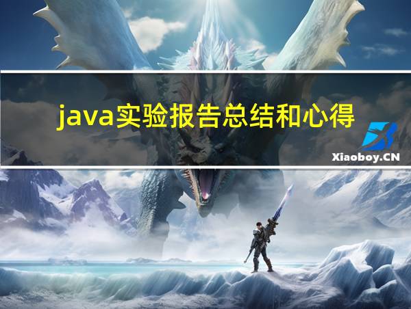 java实验报告总结和心得的相关图片