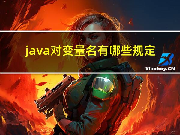 java对变量名有哪些规定的相关图片