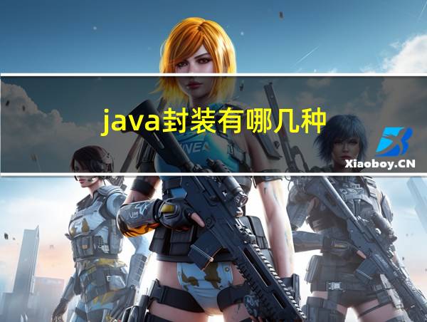 java封装有哪几种的相关图片