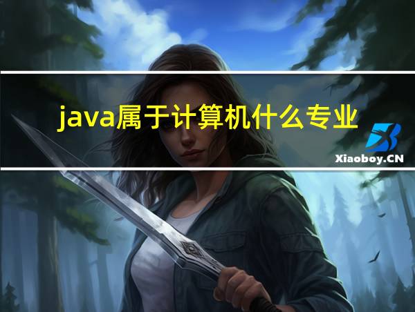 java属于计算机什么专业的相关图片