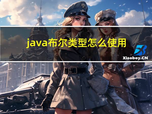 java布尔类型怎么使用的相关图片