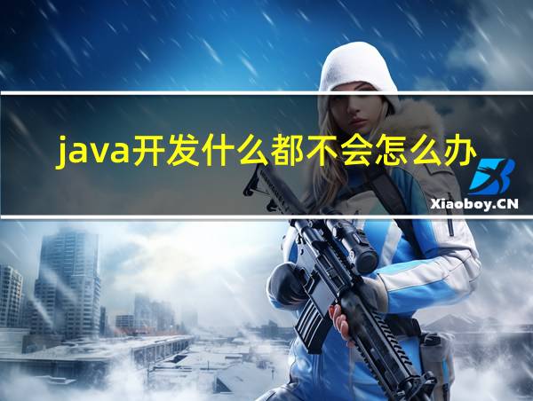 java开发什么都不会怎么办的相关图片