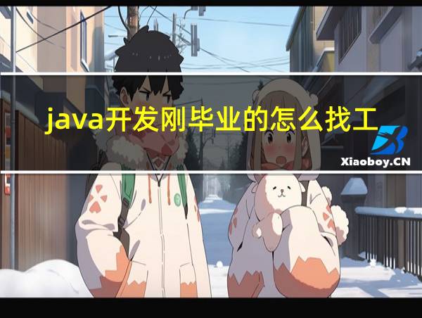 java开发刚毕业的怎么找工作的相关图片