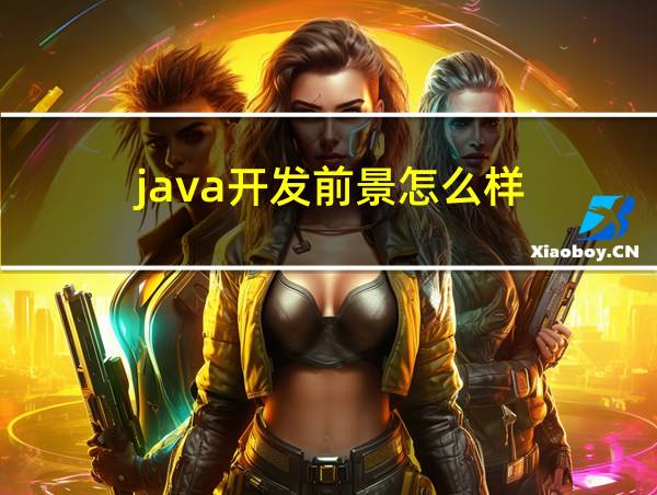 java开发前景怎么样的相关图片