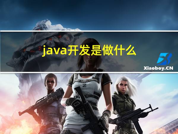 java开发是做什么的相关图片