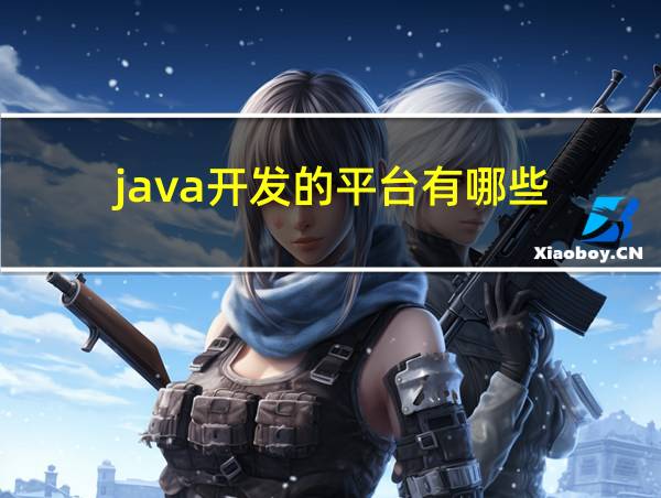 java开发的平台有哪些的相关图片