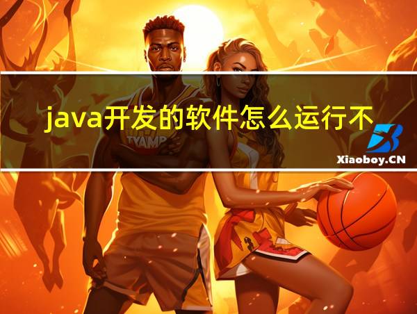 java开发的软件怎么运行不了的相关图片