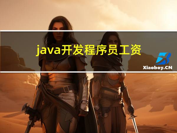 java开发程序员工资的相关图片