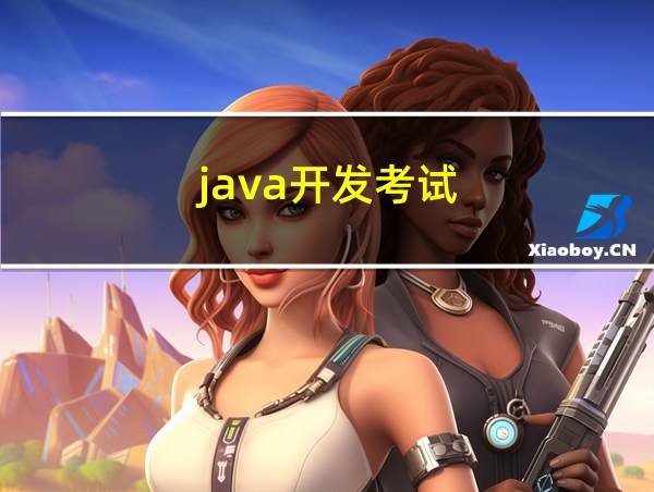 java开发考试的相关图片