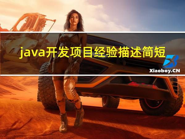 java开发项目经验描述简短的相关图片