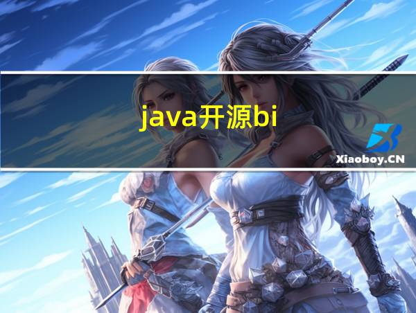 java开源bi的相关图片