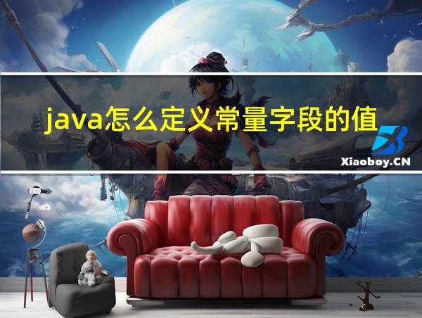 java怎么定义常量字段的值的相关图片