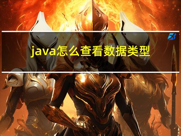 java怎么查看数据类型的相关图片