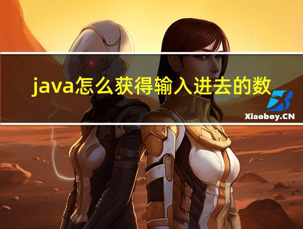 java怎么获得输入进去的数据的相关图片