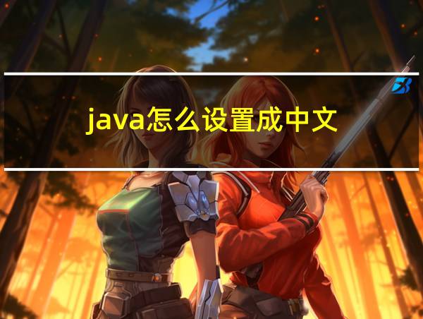 java怎么设置成中文的相关图片