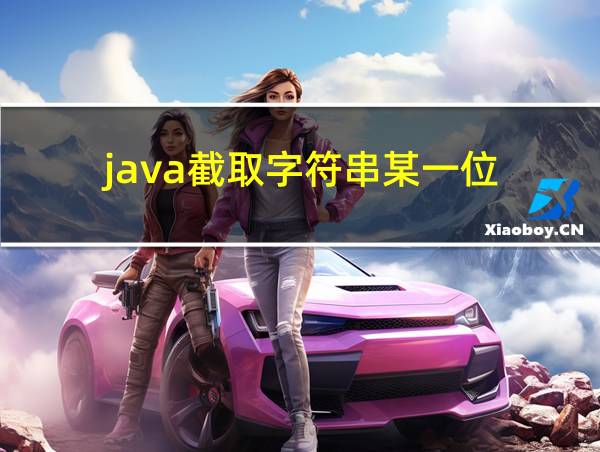 java截取字符串某一位的相关图片