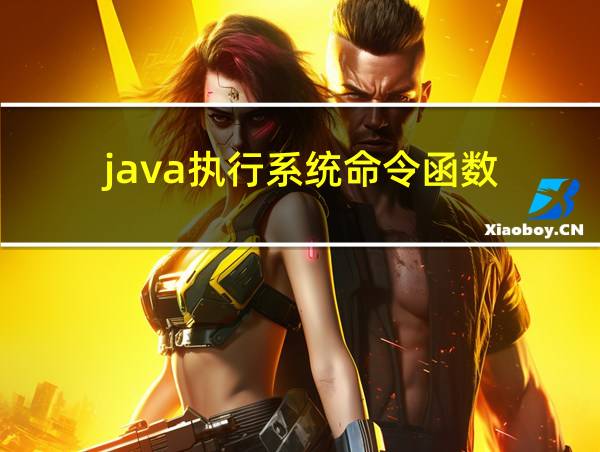 java执行系统命令函数的相关图片