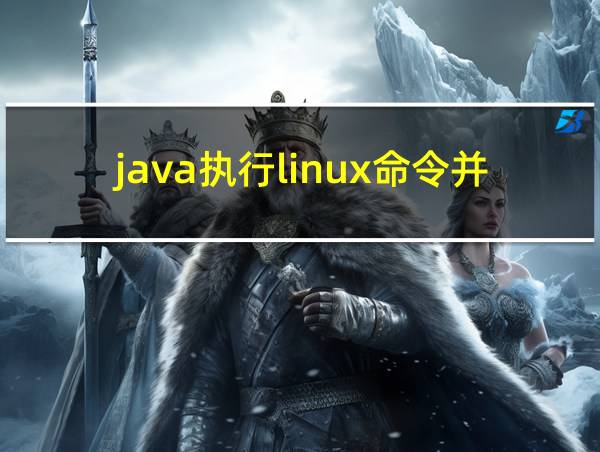 java执行linux命令并返回结果的相关图片