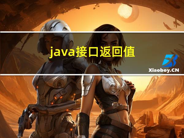 java接口返回值的相关图片