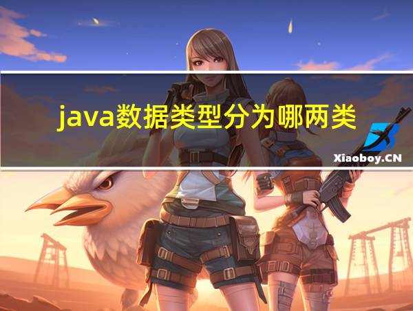 java数据类型分为哪两类的相关图片