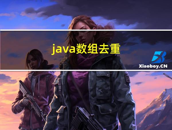 java数组去重的相关图片