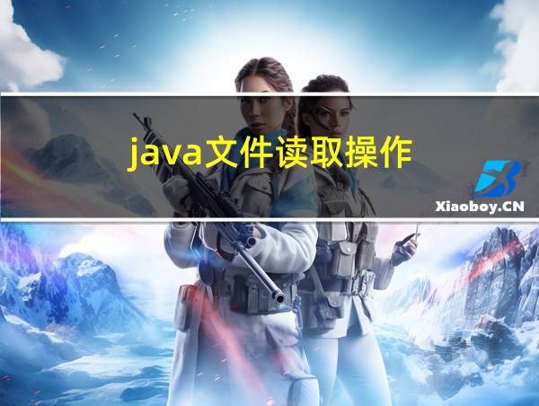 java文件读取操作的相关图片