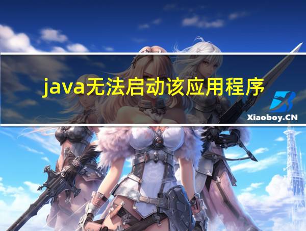 java无法启动该应用程序的相关图片