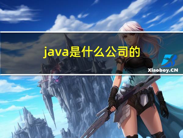 java是什么公司的的相关图片