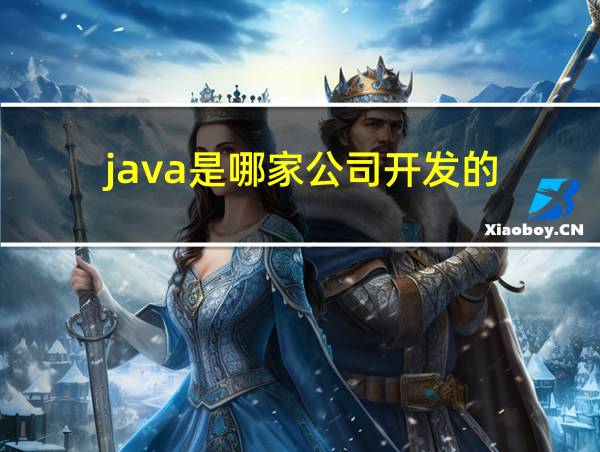 java是哪家公司开发的的相关图片