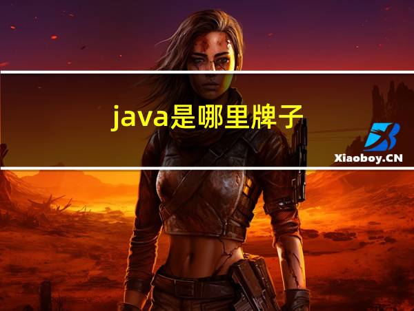 java是哪里牌子的相关图片