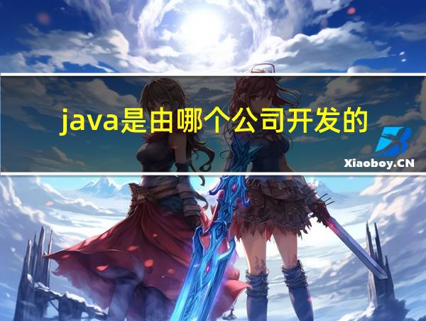 java是由哪个公司开发的的相关图片