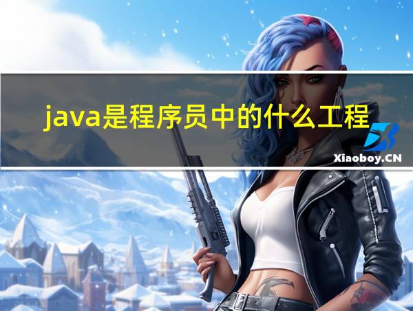 java是程序员中的什么工程的相关图片