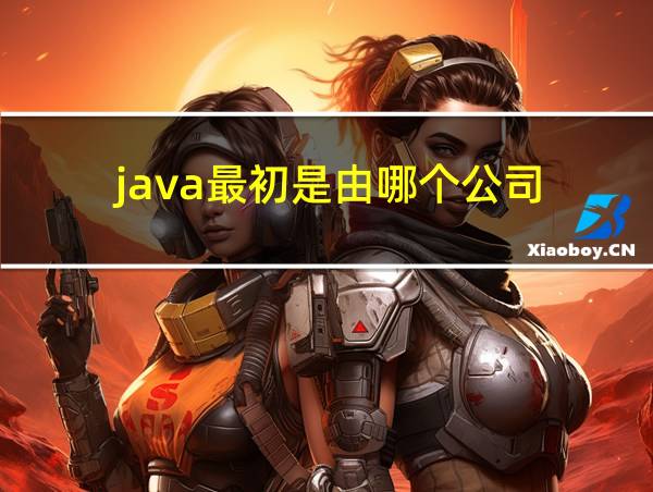 java最初是由哪个公司的相关图片