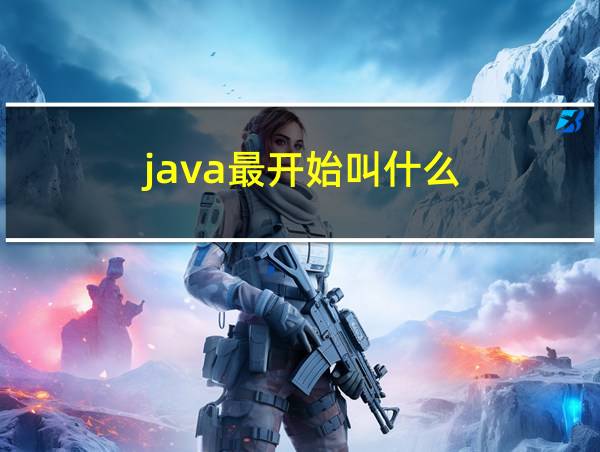 java最开始叫什么的相关图片