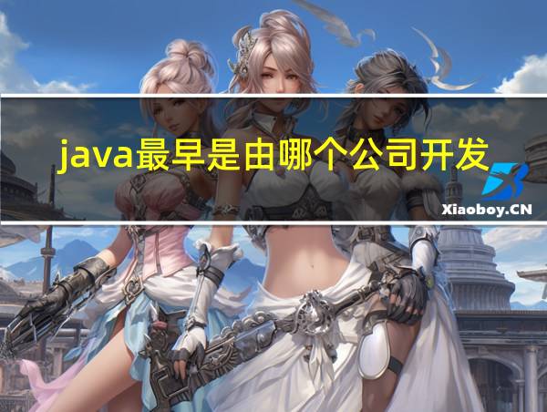 java最早是由哪个公司开发的的相关图片