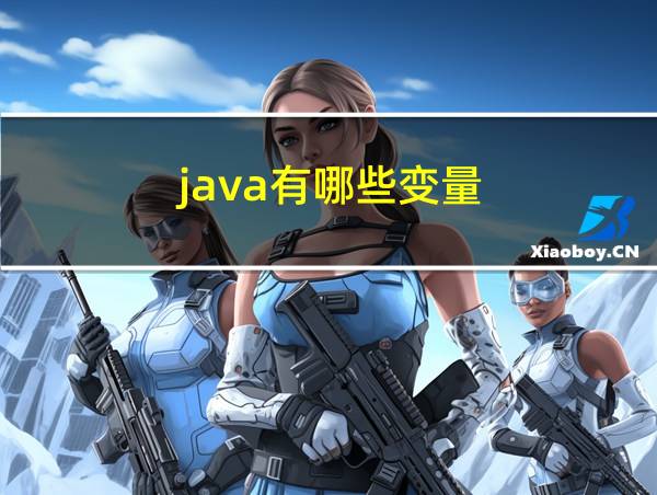 java有哪些变量的相关图片