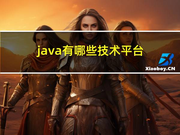 java有哪些技术平台的相关图片