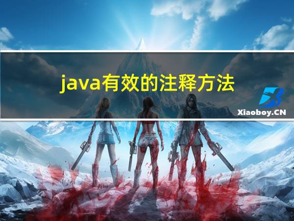 java有效的注释方法的相关图片