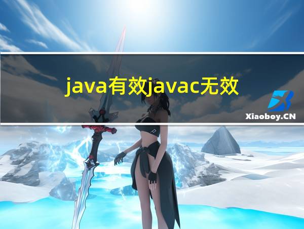 java有效javac无效的相关图片