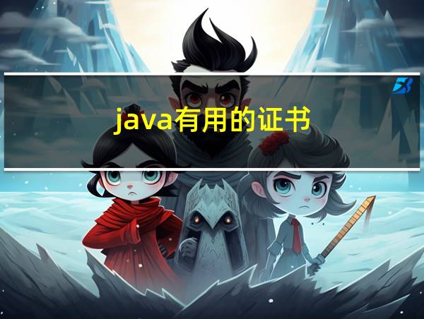 java有用的证书的相关图片