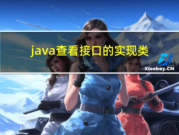 java查看接口的实现类的相关图片