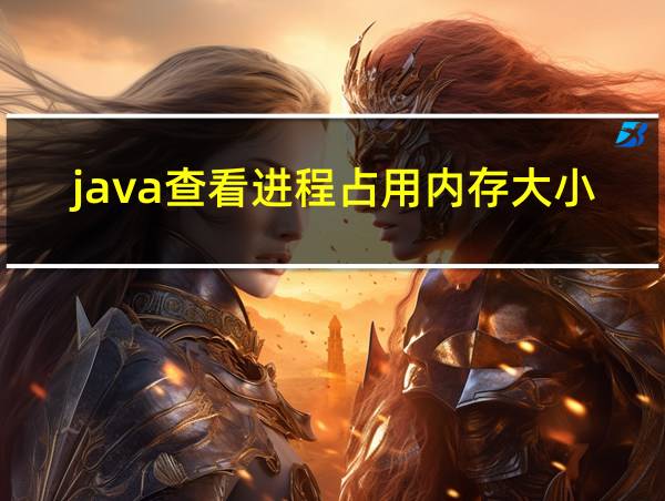 java查看进程占用内存大小的相关图片