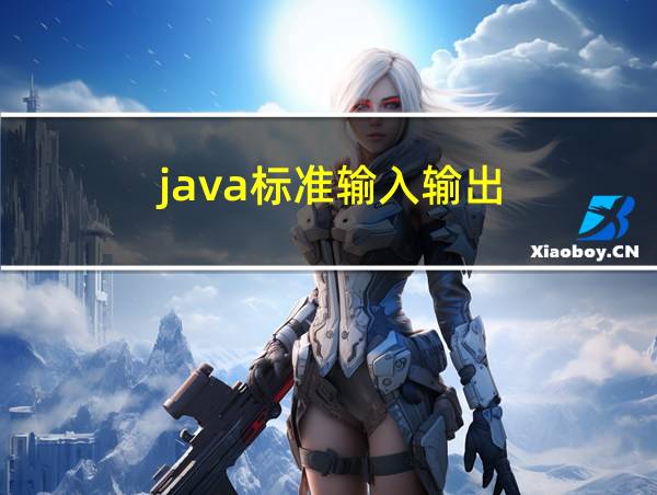 java标准输入输出的相关图片