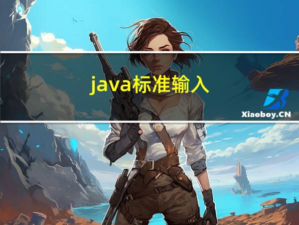 java标准输入的相关图片