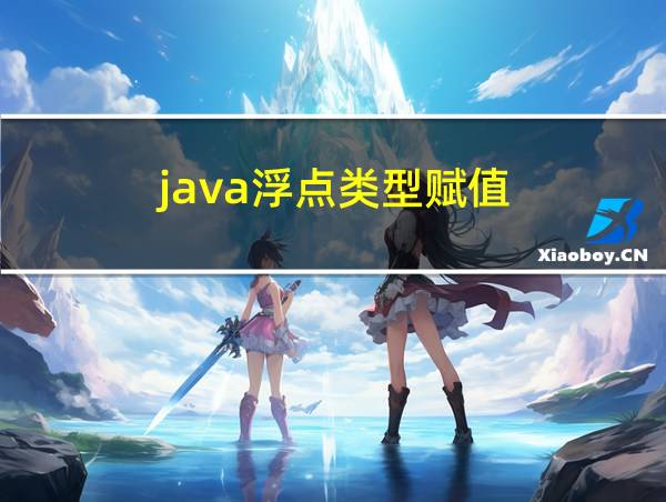 java浮点类型赋值的相关图片