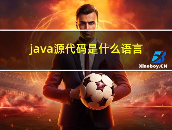 java源代码是什么语言的相关图片